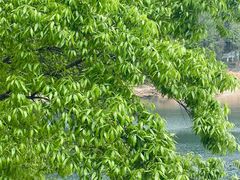 -花亭湖风景名胜区