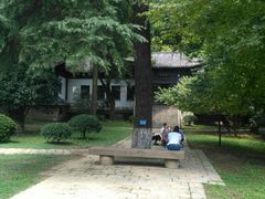 -镇江市南山风景名胜区竹林景区