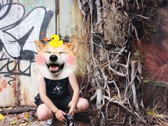 -槟城街头艺术街区