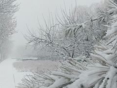 -大兴滨河森林公园