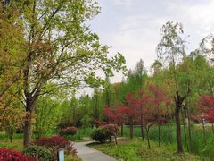 -昆山城市生态森林公园