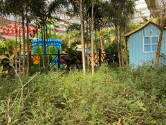 -南宫五洲植物乐园