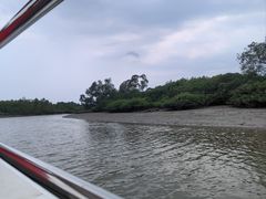 -东寨港红树林旅游区