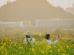 -光明小镇欢乐田园