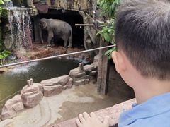 -长鹿旅游休博园