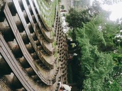 -成都市活水公园