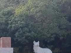 -狼山风景名胜区