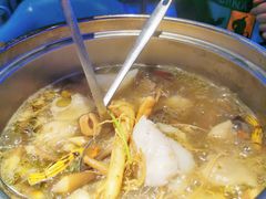 -千岛蚝高压锅生蚝·人参火锅(白云万达店)