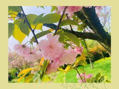 -贵阳市花溪国家城市湿地公园