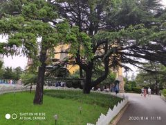 -青岛德国总督楼旧址博物馆