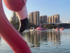 -青枫公园