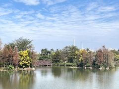 -海珠湖公园