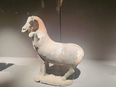 -大同市博物馆