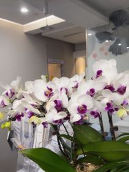 -上海首尔丽格医疗美容医院