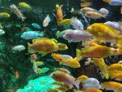 -太平洋海底世界