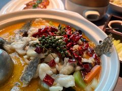 鲜花椒龙胆鱼-上饍·中国厨房(建发JFC品尚中心店)