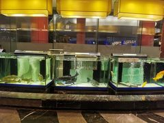 水产区-绍兴饭店(大宁店)