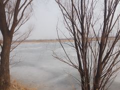 -野鸭湖国家湿地公园