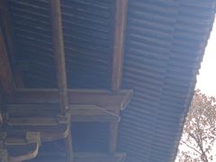 -大唐贡茶院