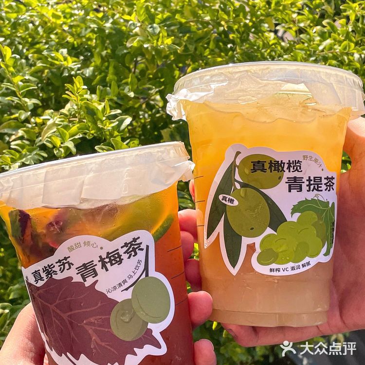 真紫苏青梅茶|秋天第一杯养身茶 