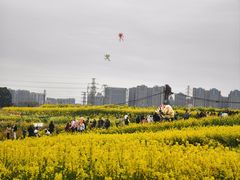 -三圣花乡旅游区