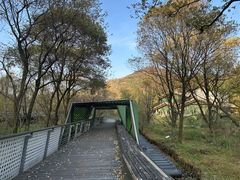 -西湖风景区-江洋畈生态公园