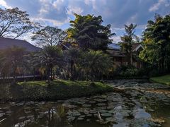 -中国科学院西双版纳热带植物园