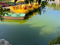 -团结湖公园