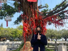-南沙天后宫景区
