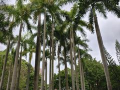 -广州雕塑公园