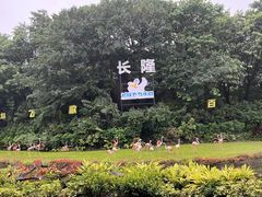 -广州长隆飞鸟乐园