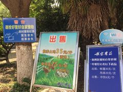 -我家农庄