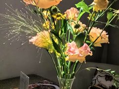 -Tomacado花厨(One ITC店)