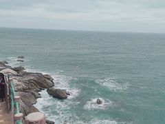-广东惠东海龟国家级自然保护区