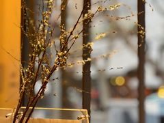-Onirii Coffee(长乐路店)