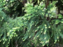 -苏州河梦清园环保主题公园