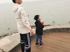 游乐设施-海鸥岛