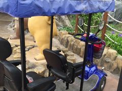 -济南方特东方神画