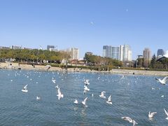 -蠡湖大桥公园