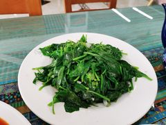 -尕西新疆大盘鸡(回辉村分店)