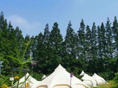 -前小桔亲子创意农场·草莓采摘·露营烧烤