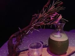 -白泽酒吧