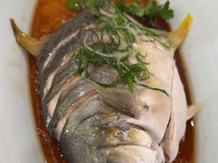 -糟粕醋·椰苑海南菜餐厅(亚龙湾天域酒店)