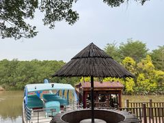 -大湾区中央湿地公园