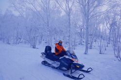 -大秃顶子山(雪谷店)
