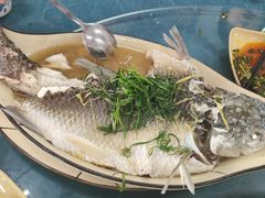 -古榕农庄·桑拿簸箕菜·招牌泥焗鸡(清远长隆店)