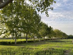 -汉长安城未央宫国家考古遗址公园