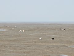 -小洋口旅游度假区