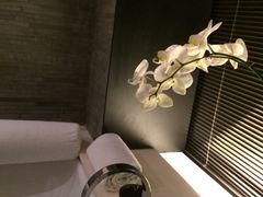 浴缸-上海璞麗酒店