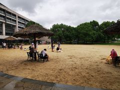 -上海佘山世茂艾美酒店